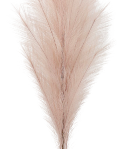 5913 PLUME LAVENDEL 170CM
